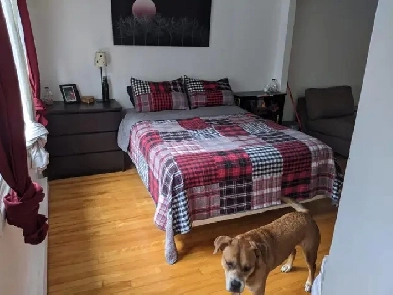 apt for rent St Michel Image# 1