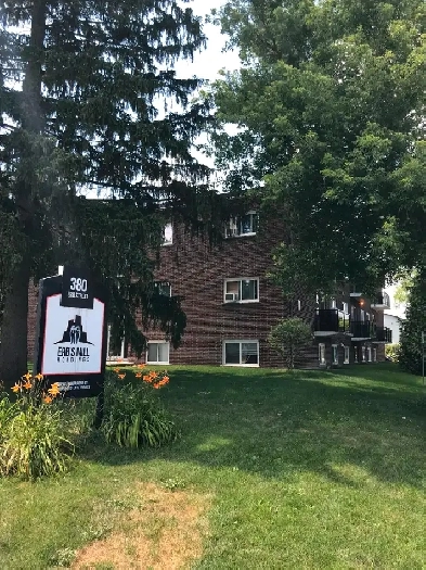 spacious one bedroom suite Image# 1