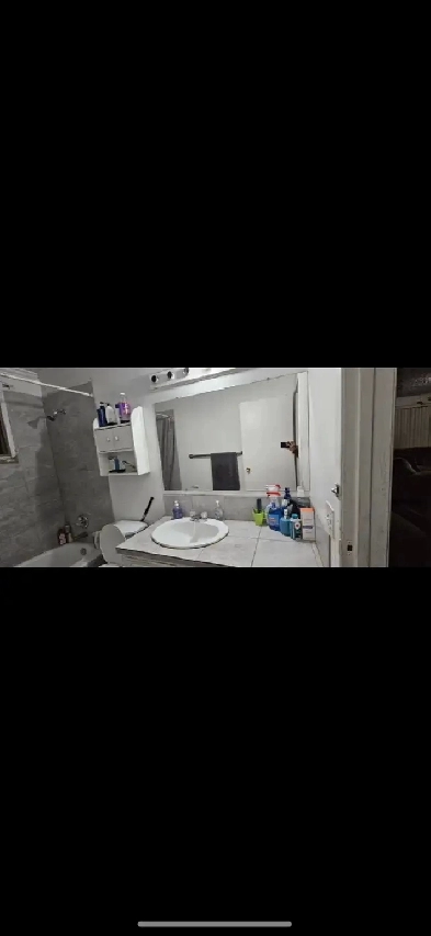 Room for Rent Close To Whitehorn LRT Image# 1