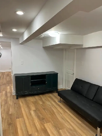 Bloor and Spadina 2- rooms basement rental Image# 1