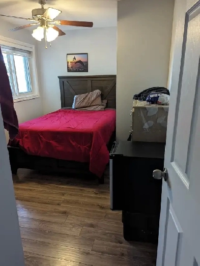 Beautiful Bedroom for Rent in Kanata Image# 3