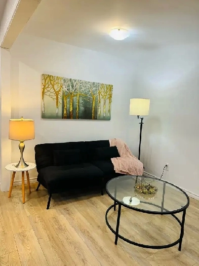 Private Luxury Suite | Fully Furnished 1 bed | 20 Min to Airport Image# 1