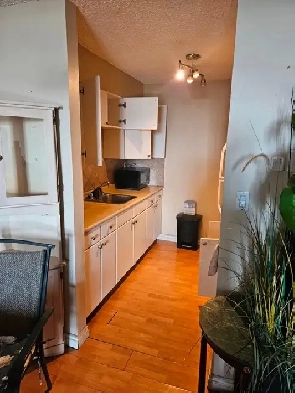 West Edmonton, 1 bedroom condo for rent immediately Image# 2