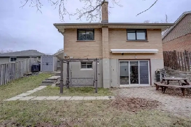 Walkout basement apartment! 1 Bed 1 Bath! Free Parking! Oshawa! Image# 1