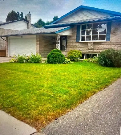 Three bedroom bungalow for rent Image# 1