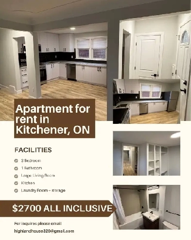 3 Bedroom 1 Bath - brand new renovated Image# 1