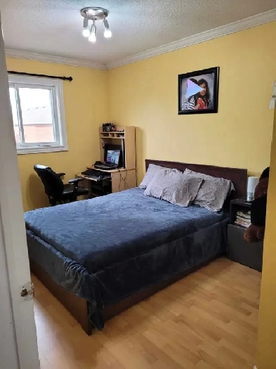 Private bedroom in 3 bedroom house Image# 1