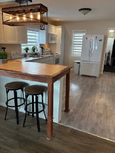 1 bedroom house Image# 10
