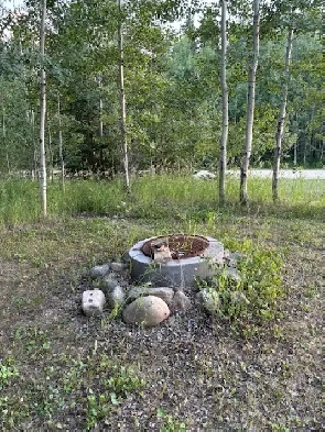 lake lot west of edmonton    lake isle   $85,000 Image# 5
