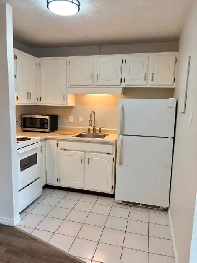 Uptown Waterloo Bachelor Apartment Move in ready or May 1st Image# 1