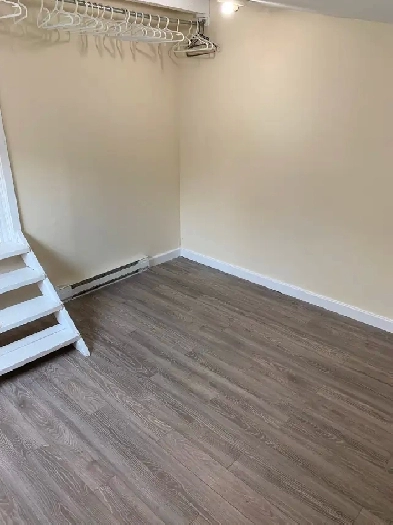 Room Rental in an Apartment Downtown (Open Now) - Pet Friendly Image# 5