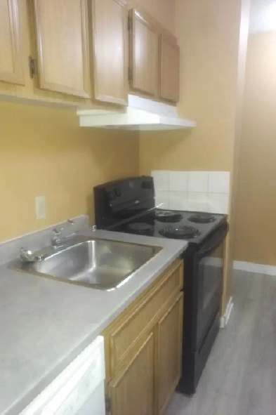 BRIGHT AND SPACIOUS 1 BEDROOM! NEWLY UPDATED! ALL UTILITIES! Image# 3