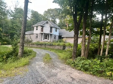 Bachlor Pad For Rent Image# 1