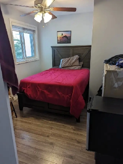 Room for Rent Image# 1