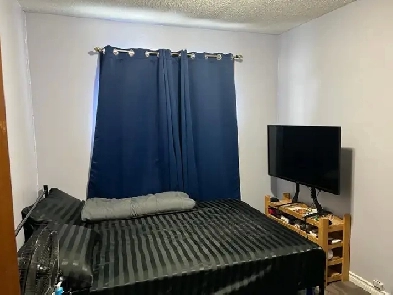 Room for Rent Image# 1