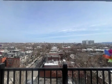 Apartement a louer/Apartment for rent Image# 3