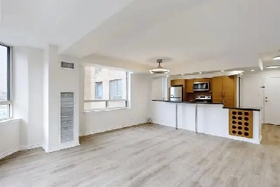850 sqf downtown condo for rent (price including utilities) Image# 8