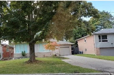 The Basement Unit For Rent Image# 5