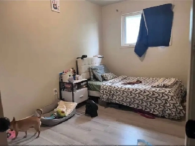 Spacious private room Image# 4