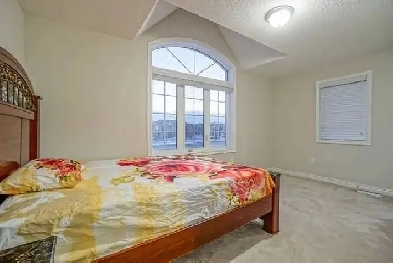Large Room available for Rent in Brampton Image# 1