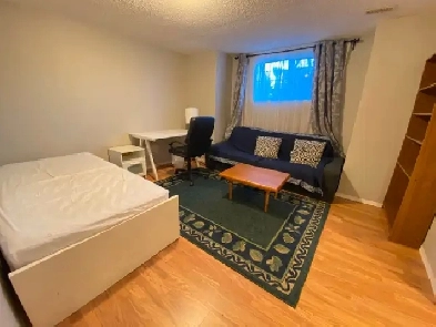 Bright Basement Suite or Room Next to UA for Rent Image# 1