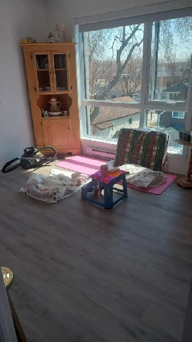 chambre a louer  500$ à Laval Image# 2