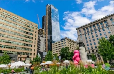 Brand New Heart of Downtown Condo Studio Appartement Image# 1