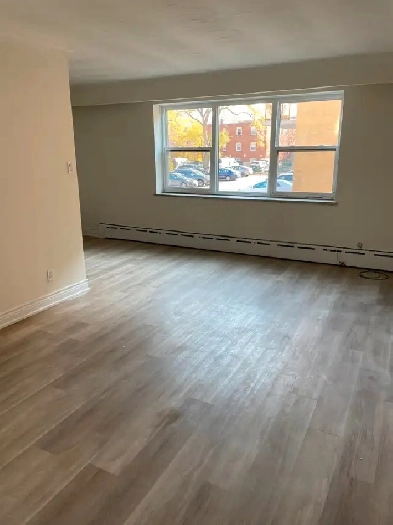 Bright, Luxury One Bedroom Apartment! Central Location! Image# 3