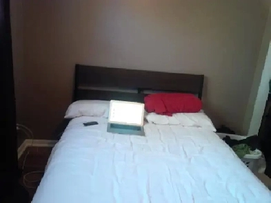 Spacious Room for Rent- Mississauga