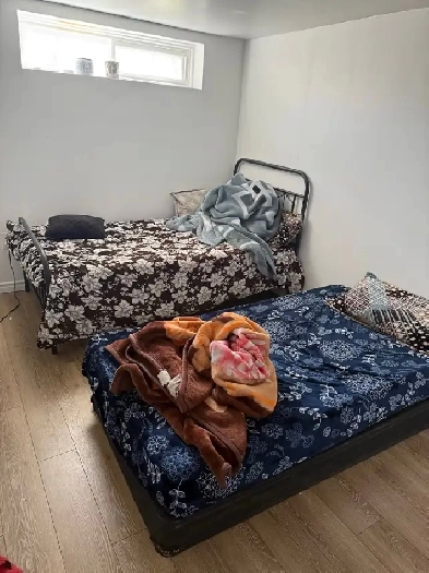 Room available for sharing in Scarborough Image# 1