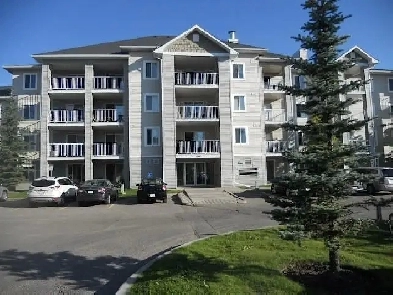 1 Bedroom Plus Den / 1 Bathroom - Applewood Pointe Image# 6