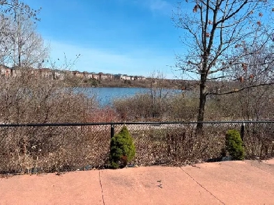 2 bedroom walk out basement for rent Image# 3