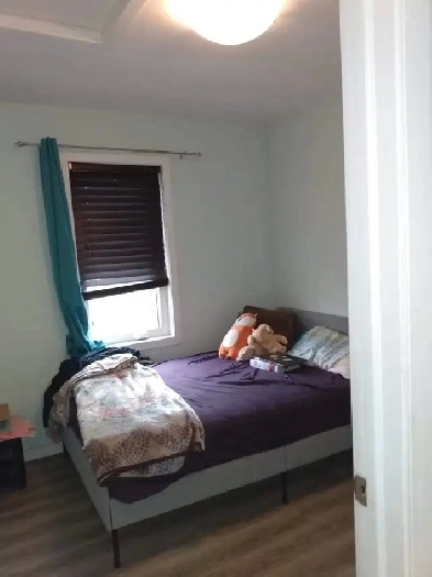 Two bedroom available only for girls close to UofM and pembina Image# 1