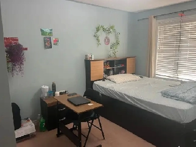 Room For Rent (For Girls or working Lady Only) Image# 1