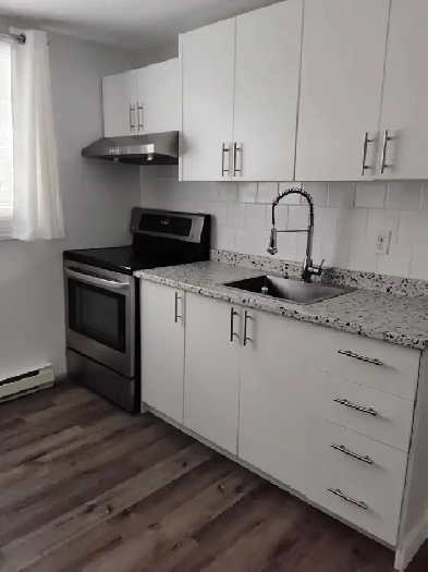 Appartement 3-1/2 Image# 3