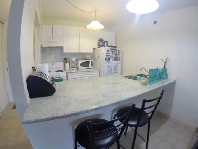downtown one bedroom condo with huge balcony near city hall Image# 9