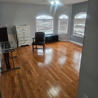 room for rent Image# 9
