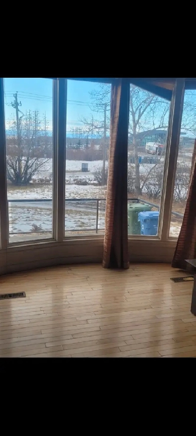 Close to c-train station room for rent in calgary Image# 1