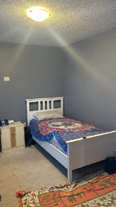 Roommate Pvt Room Upstairs in House $800 Image# 4