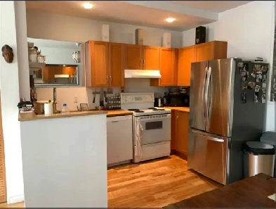 Beau grand  4 1/2 au R de C - Plateau rue Messier et Marie-Anne Image# 1