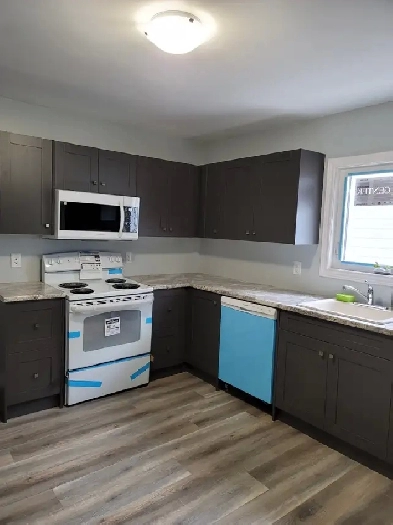 Fully renovated 2 1br on main floor Image# 6