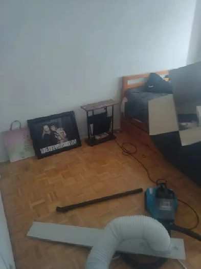 Room for rent. (Shared accommodations) Image# 1