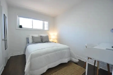 High Quality Clean Furnished Private Room Rent Humber College Image# 1