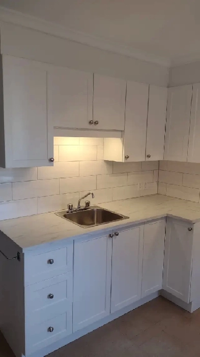 3 1/2 rosemont,complètement rénové Image# 1