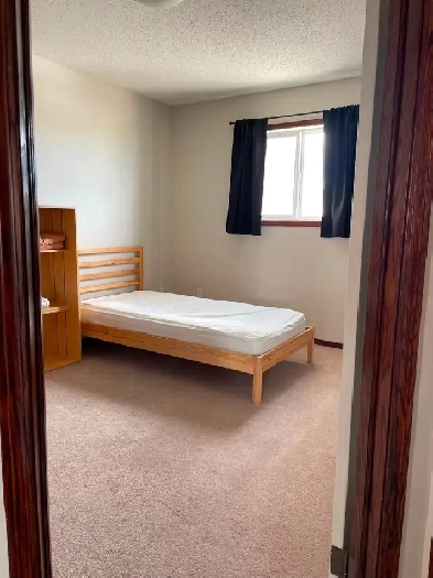 Looking for female roommate Image# 2
