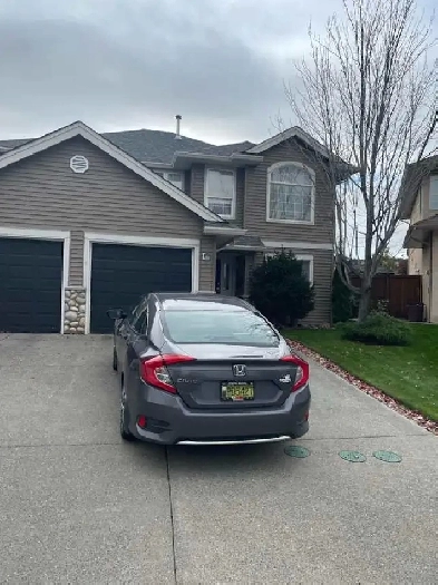 $1,000 / 1br - Sahalie Master Bedroom - FF - Av May 1st Image# 6