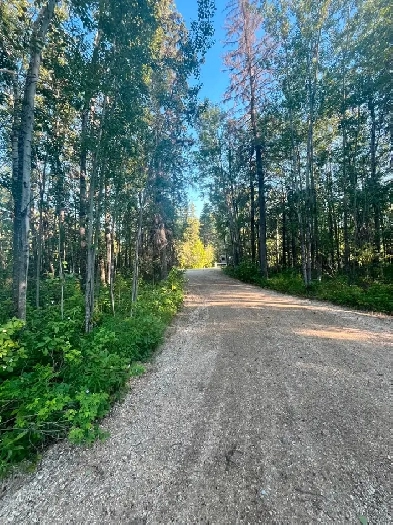 Wabamun lake lot for sale Image# 2