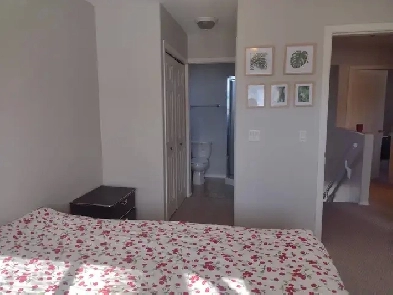 Large furnished Bedroom with private en suite bath for RENT Image# 5