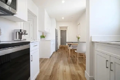 Newly Renovated 1 Bedroom Apartment for Rent! Image# 7