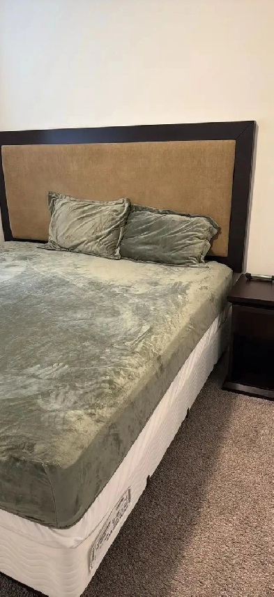 Room for rent in Hampton Area Image# 1